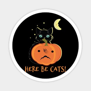 Here be cats Magnet